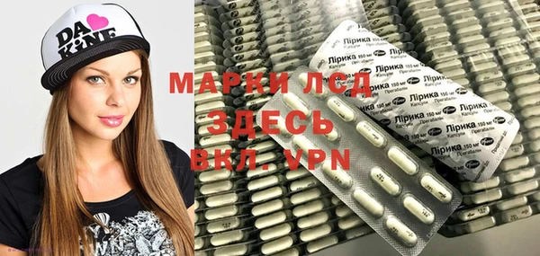 хмурый Абаза