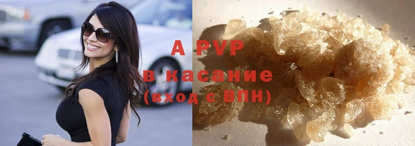 хмурый Абаза