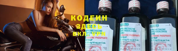 хмурый Абаза