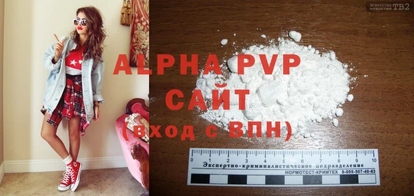 хмурый Абаза