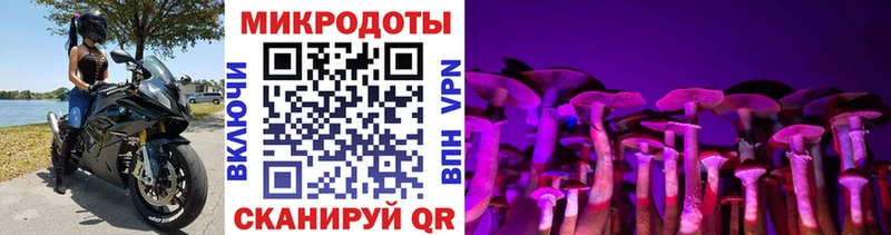Галлюциногенные грибы мицелий купить наркотики сайты Тихорецк