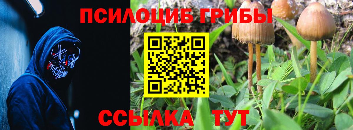 Галлюциногенные грибы Magic Shrooms  Вход с VPN  Псилоцибиновые грибы MAGIC MUSHROOMS  Тихорецк 